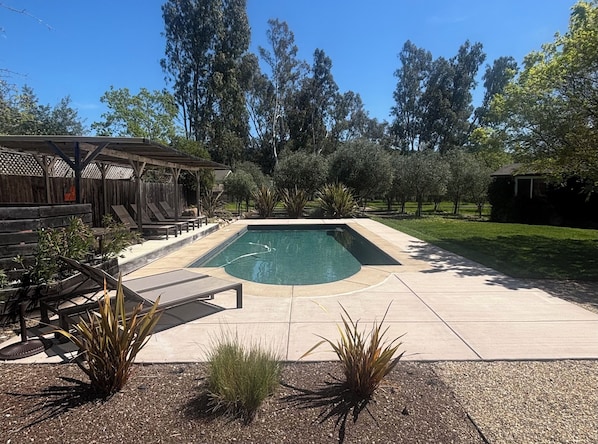 Pool between pergola shaded sitting and grassy area, plus mature olive trees