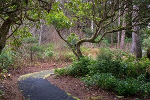 Front entry walk