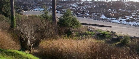 Trail to the beach during low tide - Lots of tide pools to discover ocean life.