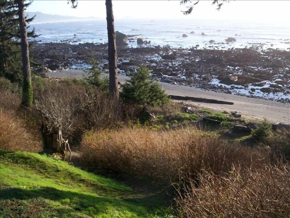 Trail to the beach during low tide - Lots of tide pools to discover ocean life.