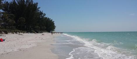 Our beautiful beach! We have beach chairs, beach umbrellas and beach towels too!