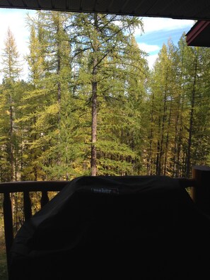 View from hot tub