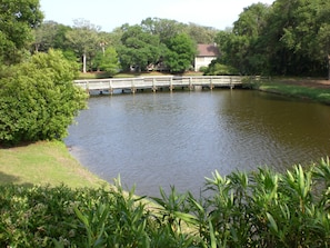 Access walk to beach one house down from us. You can fish from the bridge.