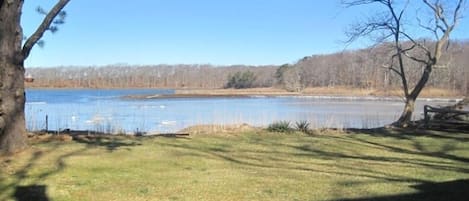 Waterfront Views overlooking Gold smith inlet. Great for fishing and kayaking.