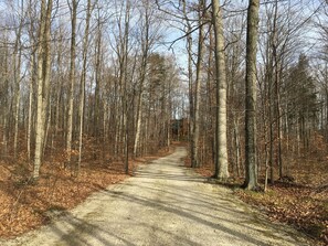 The driveway to the house