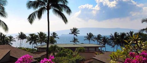 Lanai View