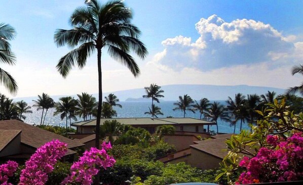 Lanai View