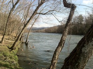 River Front on the French Broad