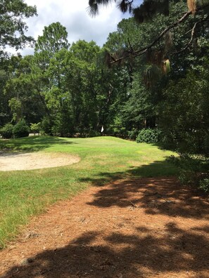 Your own golf hole!
