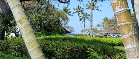 Partial ocean view from the lanai