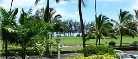 view from our lanai toward ocean