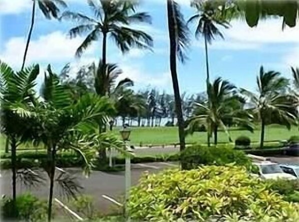 view from our lanai toward ocean