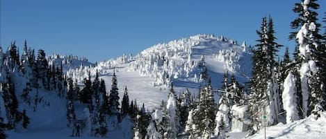 Looking towards Mt Tod from top of Sunburst mountain at Sun Peaks resort