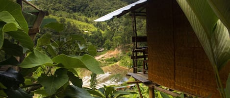 Private bungalow with a view of rice paddies