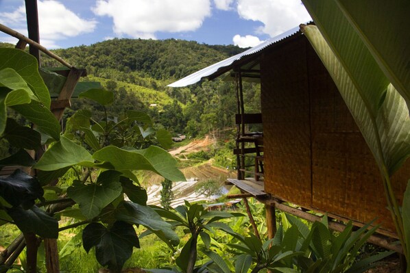 Private bungalow with a view of rice paddies