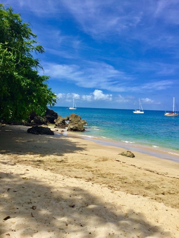 Our local beach