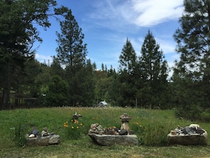 Front Window View. Wildflower meadow with greenhouse in distance.