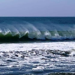 Surf's Up!