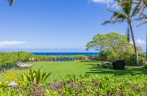 Huge yard with fire pit, bbq, lounge chairs, and big table