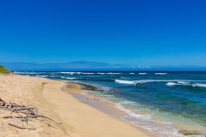 Beach in front of the house