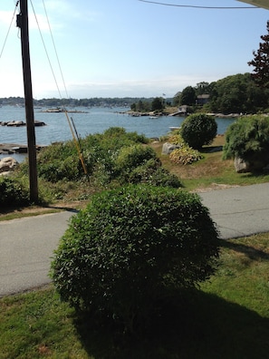 View from porch looking to the right