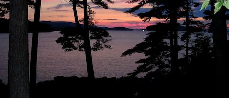 View out the living room window at dusk