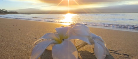 Beach at sunrise