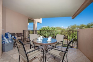Large Lanai
