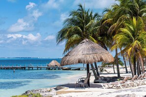 Property grounds - Private sargazo FREE Beach