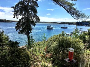 Southeast view. with hummingbird feeder in foreground