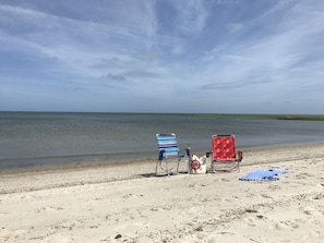 Everything you could need for the beach is provided. 