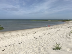 Mid-level tide at Wing’s Island.