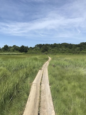 Walk the maintained path across the marsh to Wing’s Island beach.