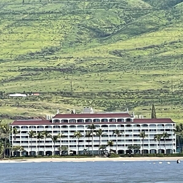 Lahaina Shores
