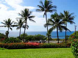 Spectacular, wide ocean view from the lanai of G105. Enjoy view from AM to PM.