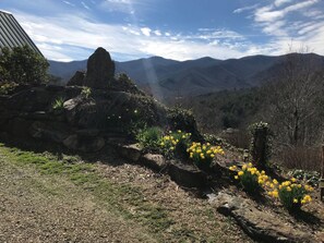 Spring time view.  