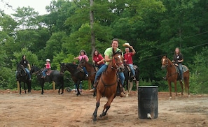 We have exciting cowboy events in our areana offered daily.