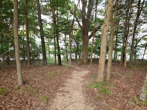 Walking Path to Shoreline