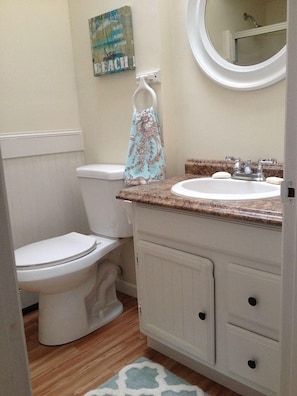 Newly remodeled bath is bright and sunny, lit by skylight, has a tub/shower unit