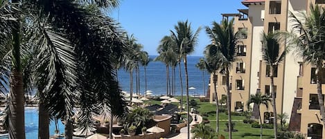 Straight on Ocean, palms and pool views from the balcony