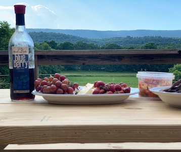 Gorgeous, Amish-Built Post and Beam Cabin on 10 acres, relax and unplug!