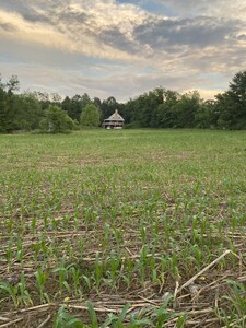 Gorgeous, Amish-Built Post and Beam Cabin on 10 acres, relax and unplug!