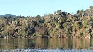 Tomales Bay view of the Whitney House. Dock in lower left, house in upper right