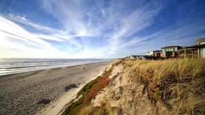 Play or walk on the Pajaro Dunes beach!

