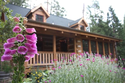 The Mount's Bass Lake Log Cabin with WIFI Access in Willow Cove