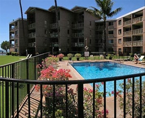 Oceanfront Heated Swimming Pool