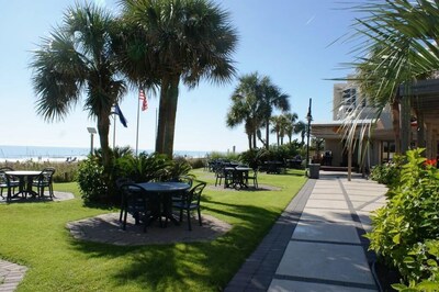 A Slice of Paradise!  -  Direct Oceanfront condo