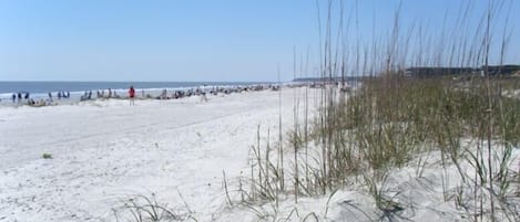 Folly Field Beach