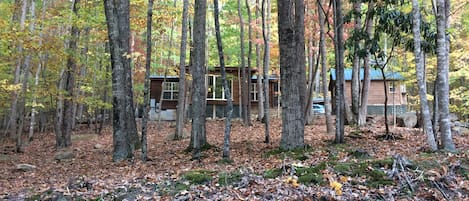 View from Jack Pine Road