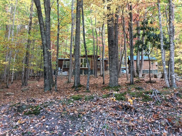 View from Jack Pine Road